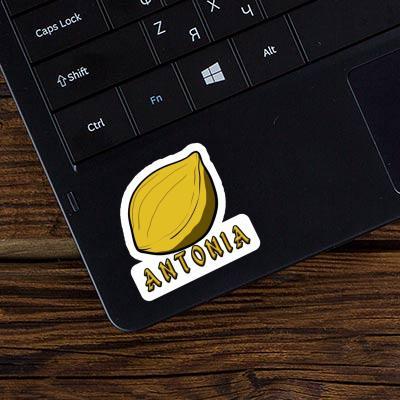 Sticker Nuss Antonia Notebook Image