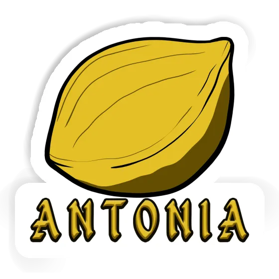 Sticker Antonia Nut Notebook Image