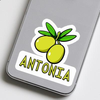 Olive Sticker Antonia Notebook Image