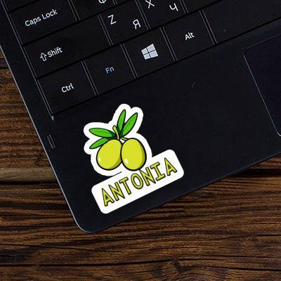 Olive Sticker Antonia Laptop Image