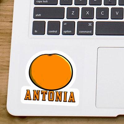 Sticker Orange Antonia Notebook Image