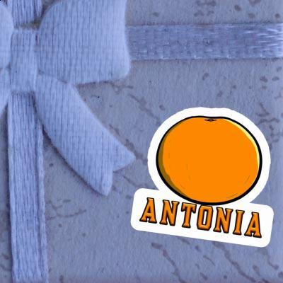 Sticker Orange Antonia Laptop Image