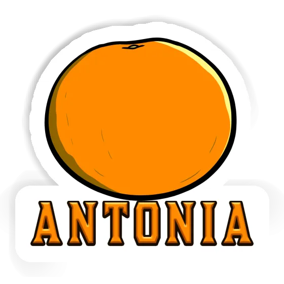 Orange Aufkleber Antonia Notebook Image