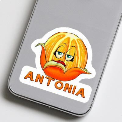 Antonia Autocollant Orange Notebook Image