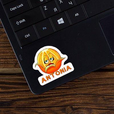 Orange Sticker Antonia Notebook Image