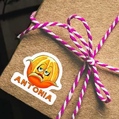 Sticker Orange Antonia Gift package Image