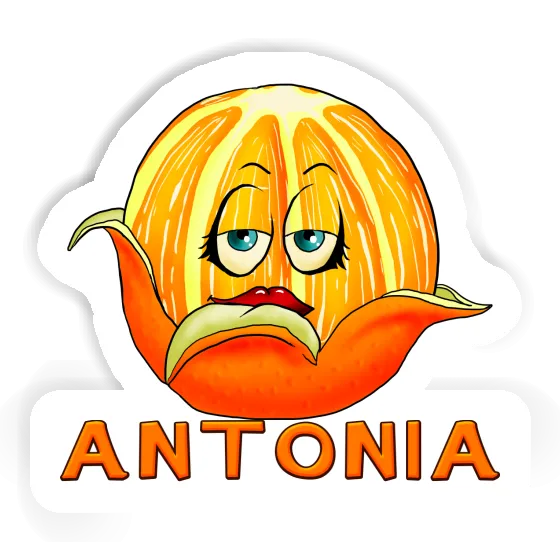 Sticker Orange Antonia Gift package Image