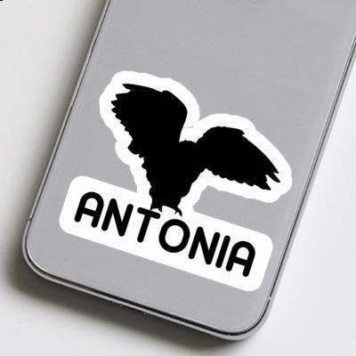 Antonia Sticker Owl Image