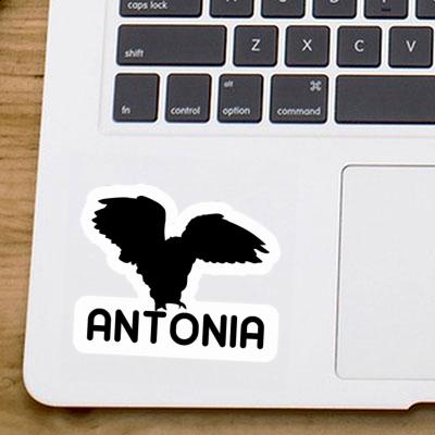 Antonia Sticker Owl Notebook Image