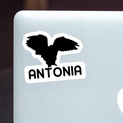 Antonia Sticker Owl Notebook Image