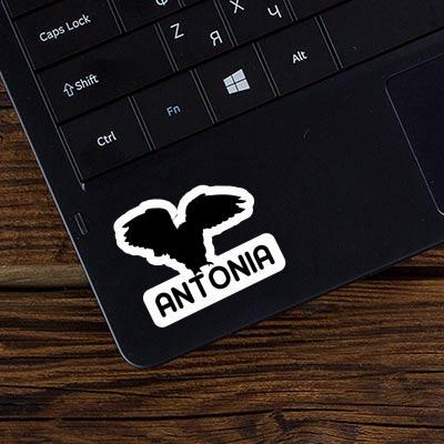 Antonia Sticker Owl Laptop Image