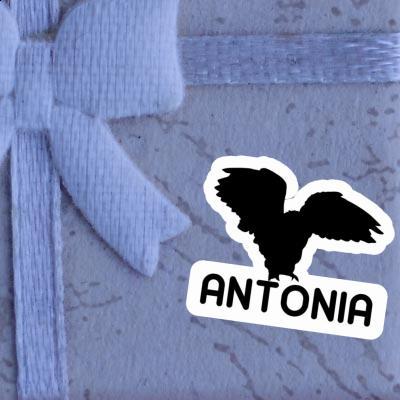 Autocollant Hibou Antonia Laptop Image