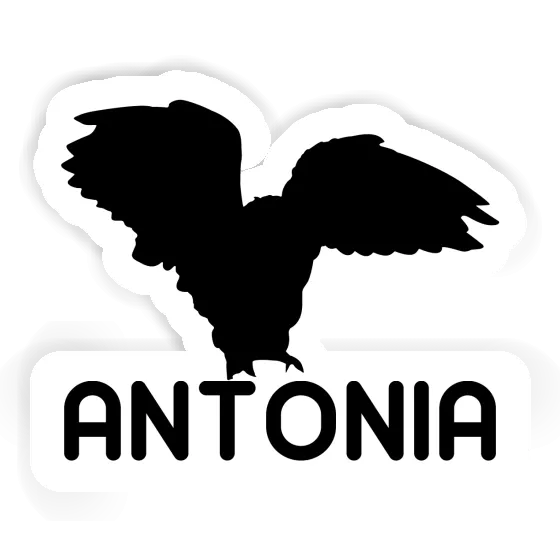 Autocollant Hibou Antonia Notebook Image