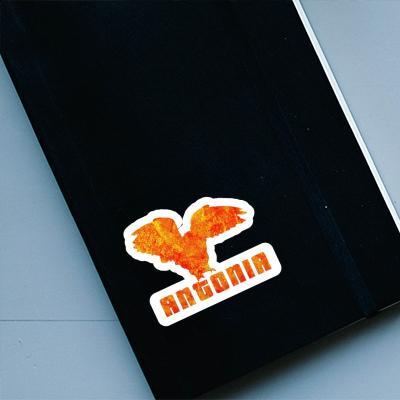 Sticker Owl Antonia Laptop Image