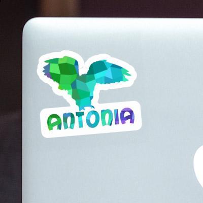 Eule Sticker Antonia Laptop Image