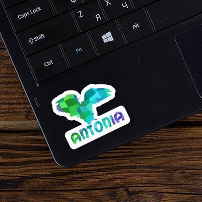 Hibou Autocollant Antonia Laptop Image