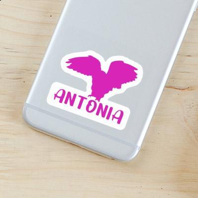 Sticker Owl Antonia Laptop Image