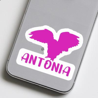 Sticker Owl Antonia Image