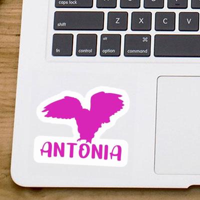 Antonia Autocollant Hibou Notebook Image