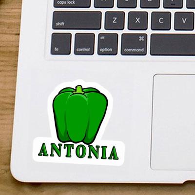 Sticker Paprika Antonia Laptop Image