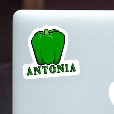 Sticker Paprika Antonia Laptop Image