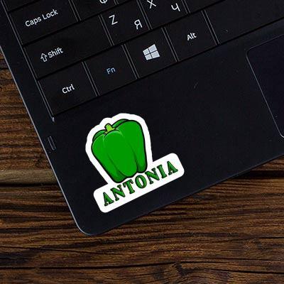 Sticker Paprika Antonia Laptop Image