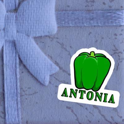 Sticker Paprika Antonia Image