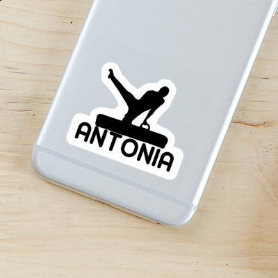 Sticker Gymnast Antonia Notebook Image