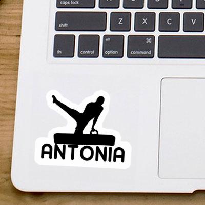 Autocollant Gymnaste Antonia Image