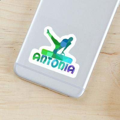 Sticker Gymnast Antonia Notebook Image