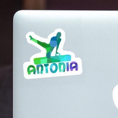 Sticker Gymnast Antonia Notebook Image