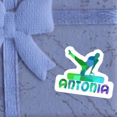 Autocollant Gymnaste Antonia Gift package Image