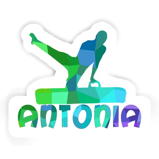 Autocollant Gymnaste Antonia Notebook Image