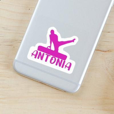 Gymnast Sticker Antonia Notebook Image