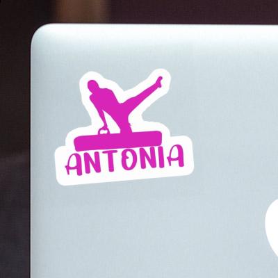 Gymnast Sticker Antonia Notebook Image