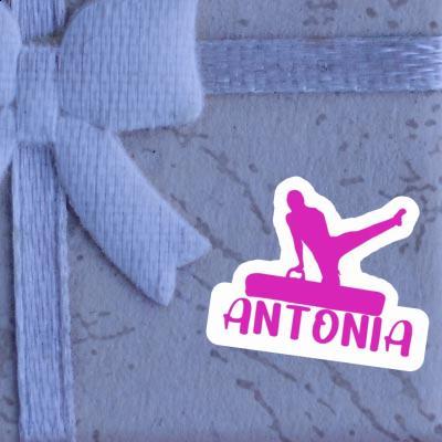 Gymnast Sticker Antonia Notebook Image