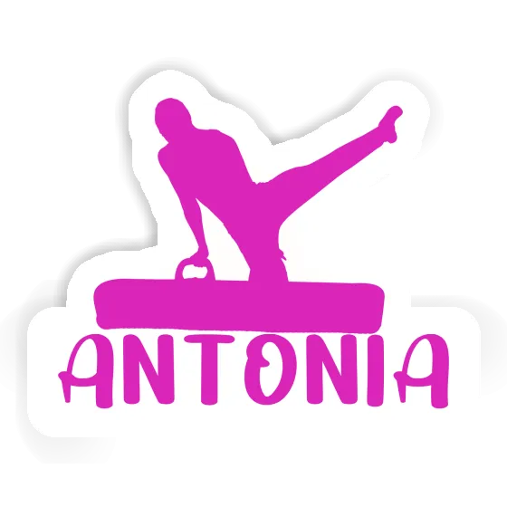 Gymnast Sticker Antonia Notebook Image