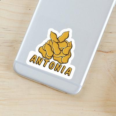 Sticker Antonia Nut Notebook Image