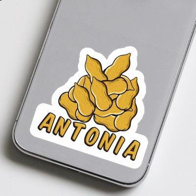 Sticker Antonia Nut Notebook Image