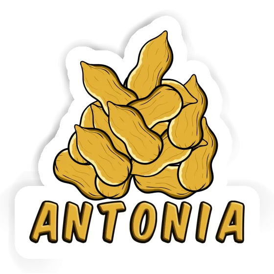 Antonia Sticker Nuss Notebook Image