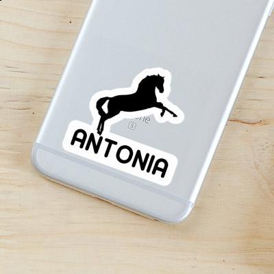 Sticker Pferd Antonia Laptop Image