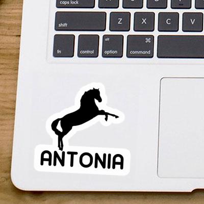 Autocollant Cheval Antonia Notebook Image