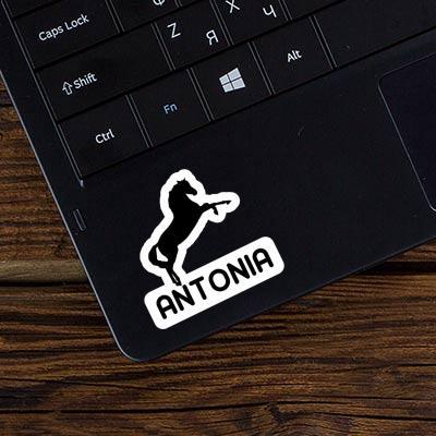 Sticker Antonia Horse Laptop Image