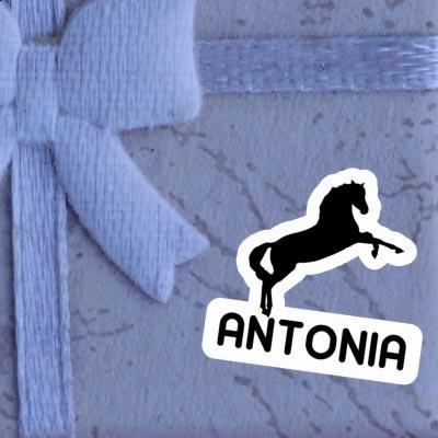 Sticker Pferd Antonia Laptop Image