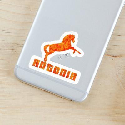 Antonia Sticker Horse Gift package Image