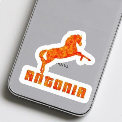 Antonia Sticker Horse Image