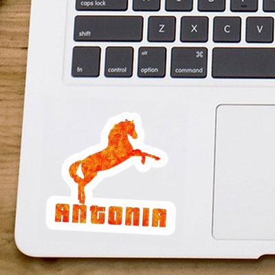 Antonia Sticker Horse Image