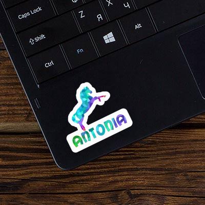 Horse Sticker Antonia Image