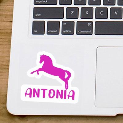 Sticker Horse Antonia Image