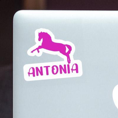 Pferd Aufkleber Antonia Laptop Image